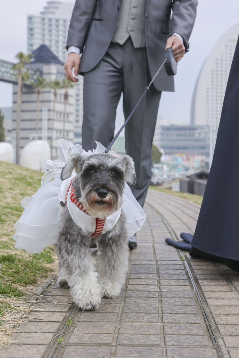 みんなでお散歩。