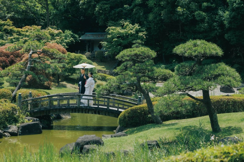 青々とした緑の中で