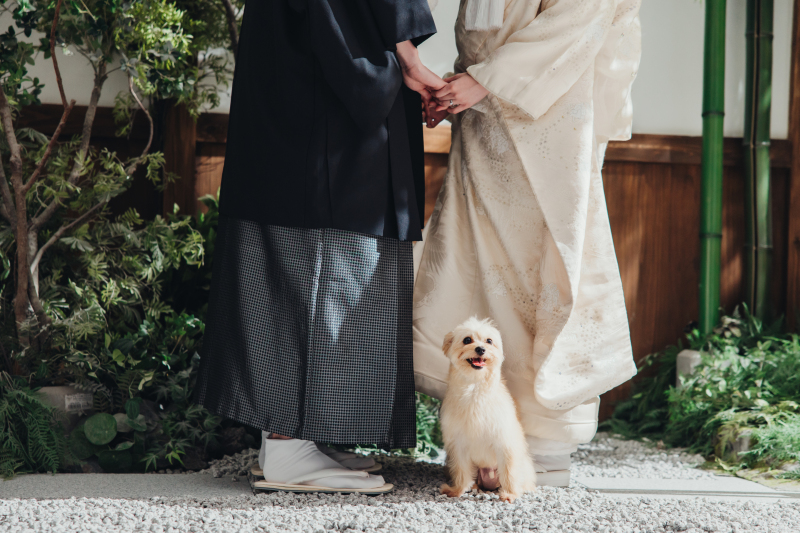 愛犬のポプちゃんも参加!