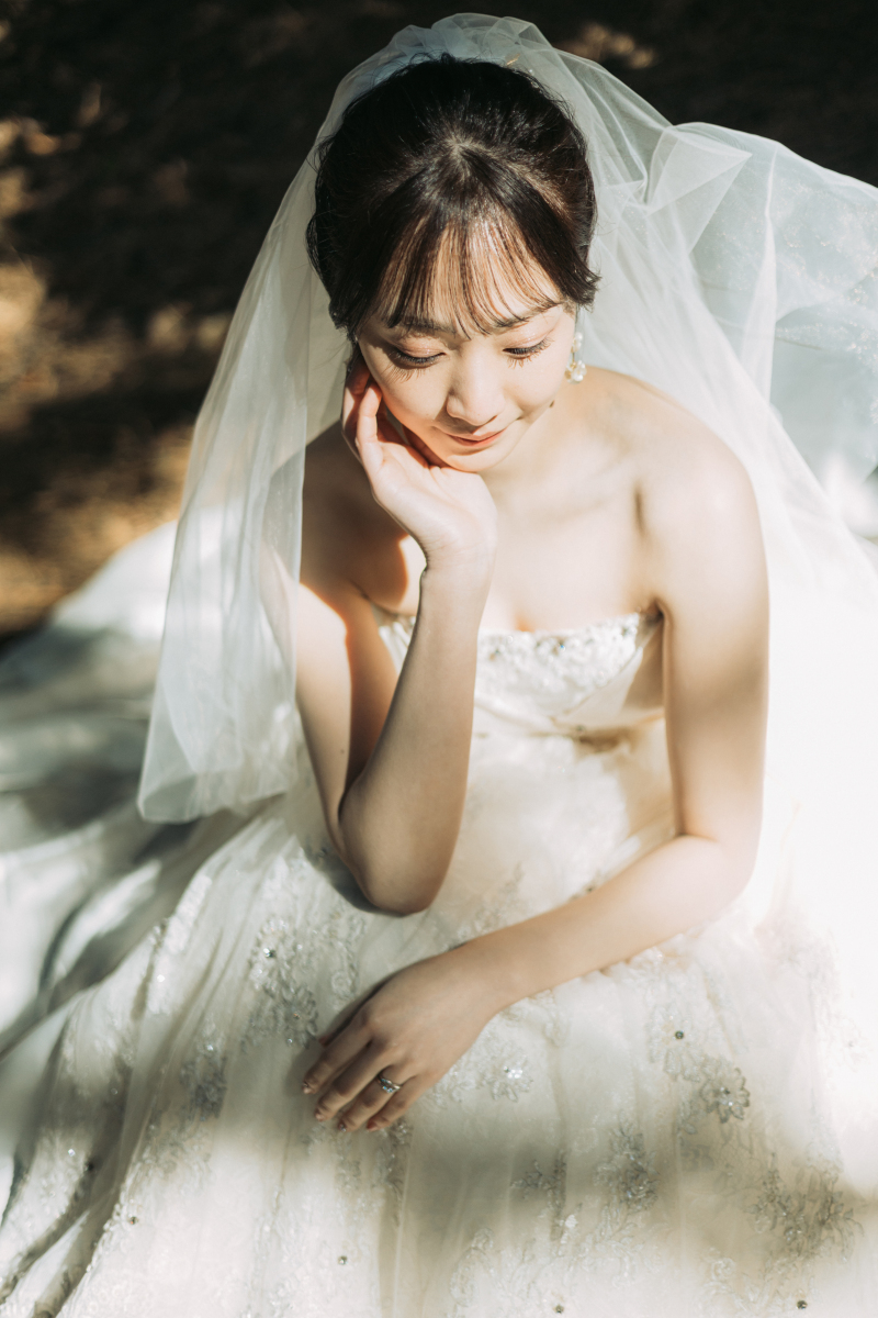 木漏れ日の中での撮影◎