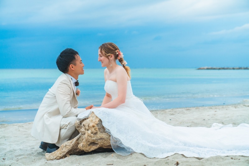 流木にちょこん