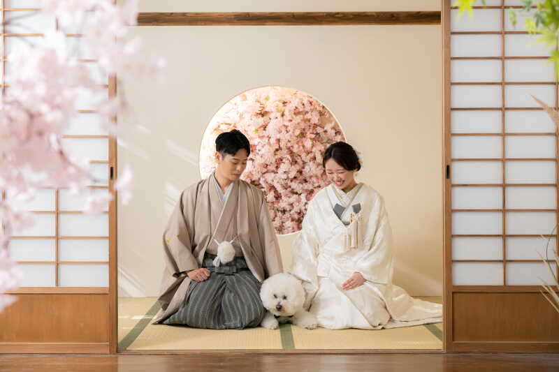 愛犬と一緒に！