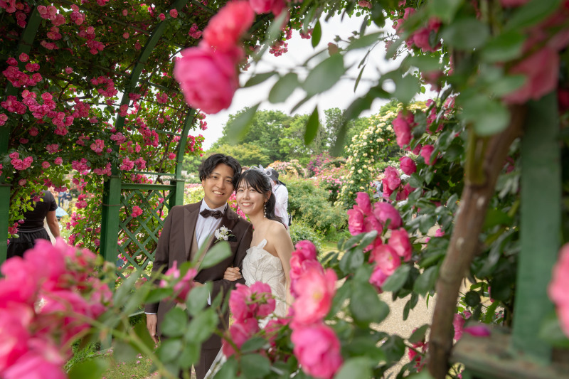 ピンクの薔薇に囲まれて