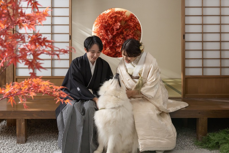 サモエドのワンちゃん