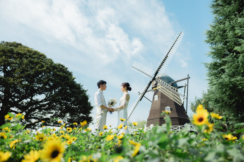 夏の詰め合わせ