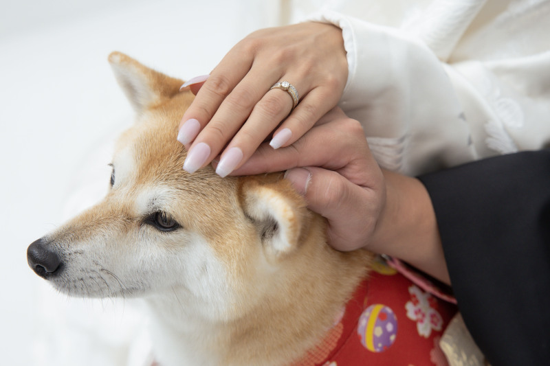 家族のぬくもりを感じる手元