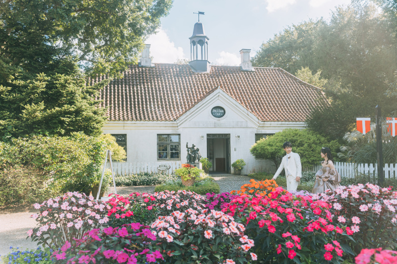コスモス以外のお花も！！