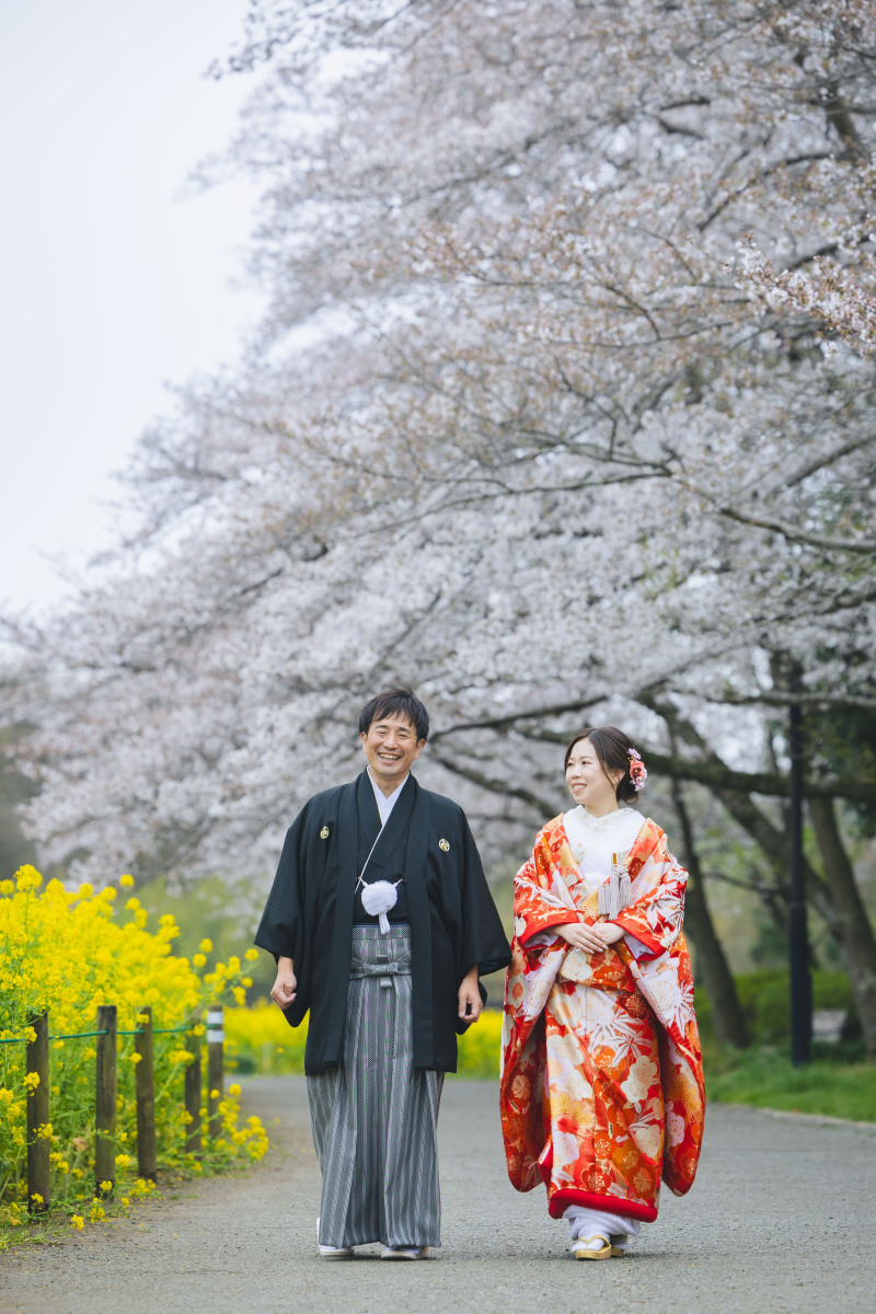 桜ロケーション！