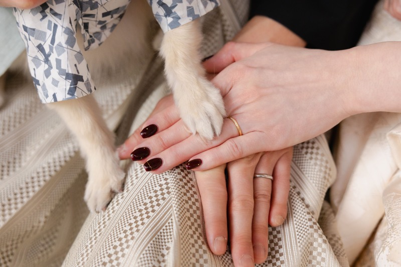 みんなの手を重ねて