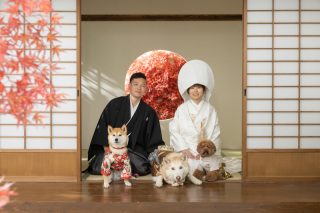 わんちゃん3匹と和庭園撮影！！