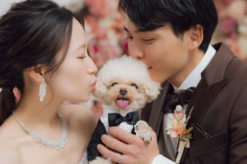 ワンちゃんにちゅー