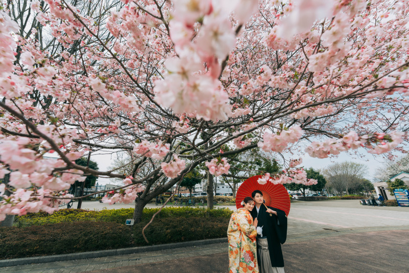 ピンク色の桜♪