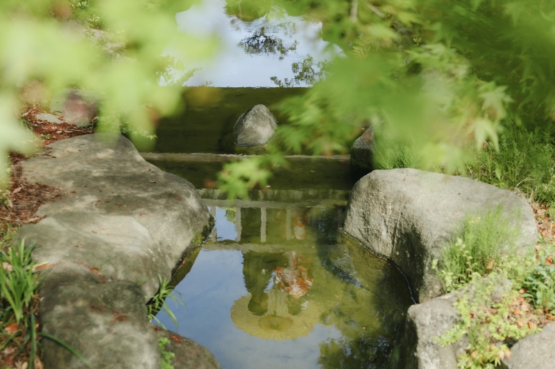 水面
