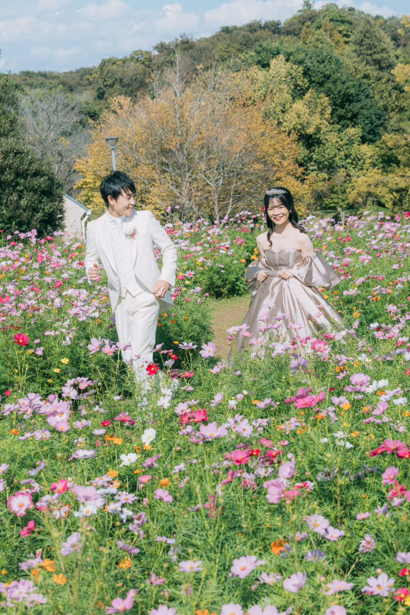 コスモス畑での撮影