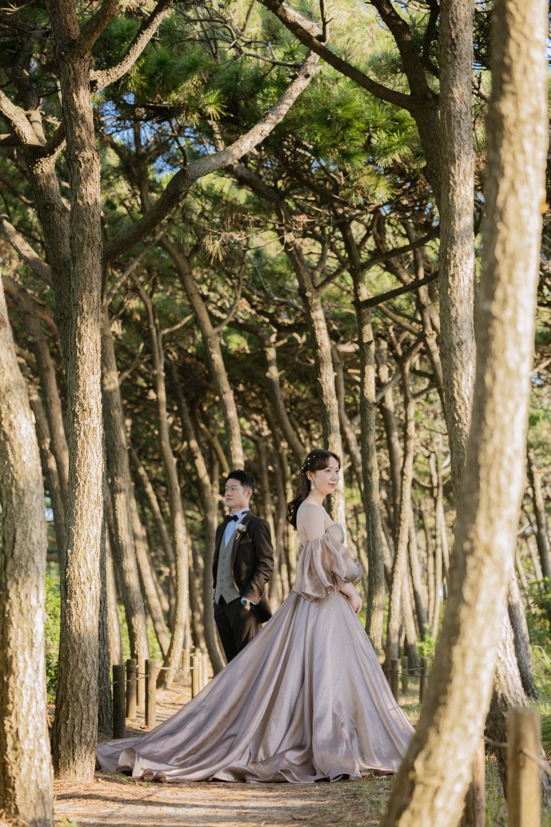 西陽が差し込んで