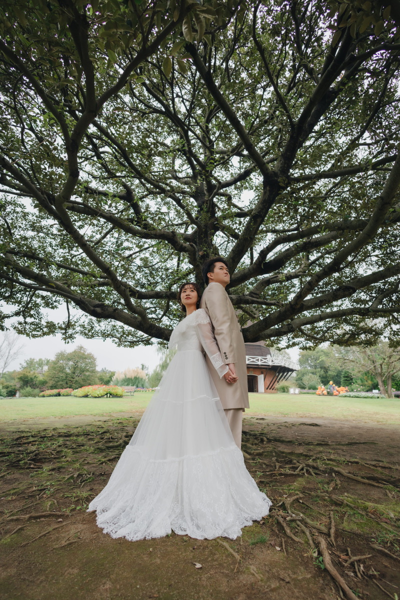 大きな木の下で