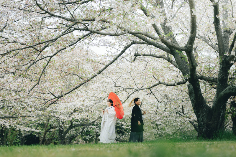 桜に囲まれて！