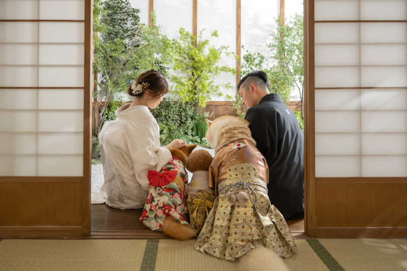 お茶室の内側から