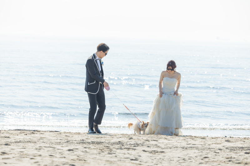 愛犬とお散歩！