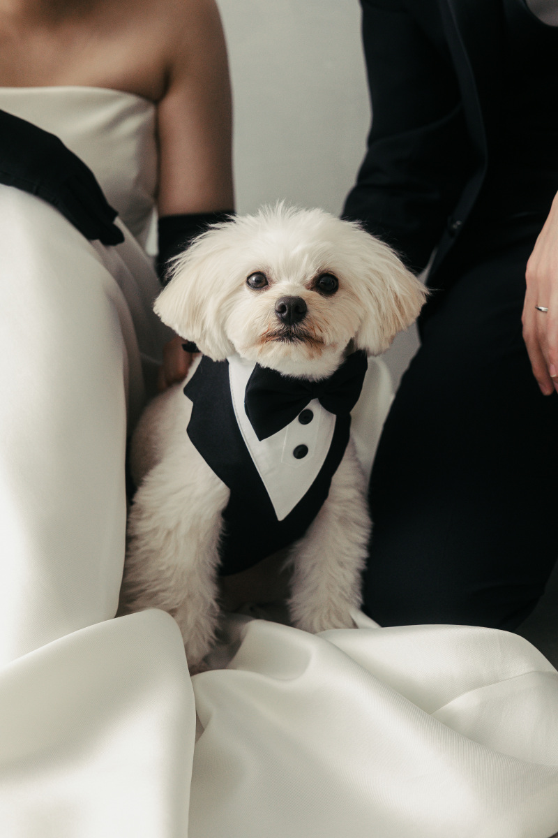 ワンチャンソロカット