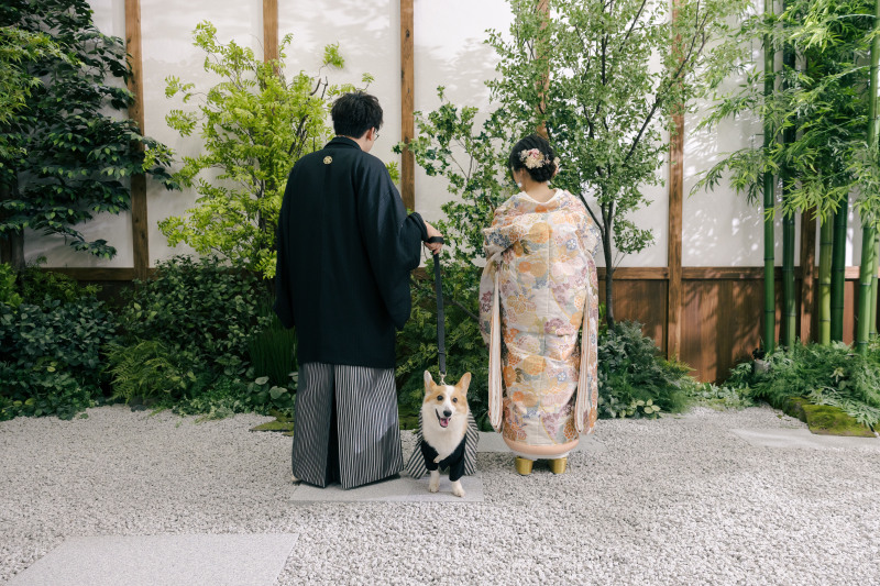 後ろ姿とコロンくん