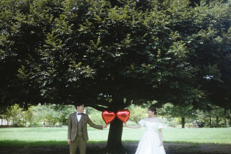 大きな木の下で