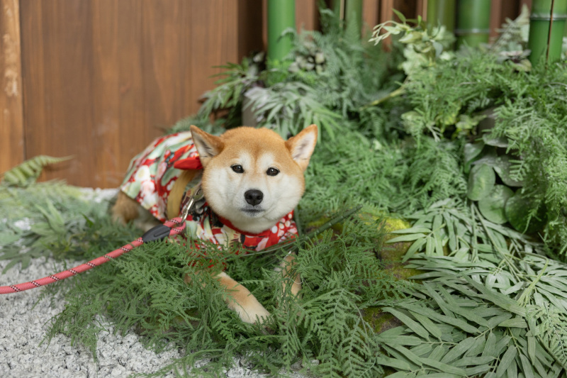 お気に入りの場所♪