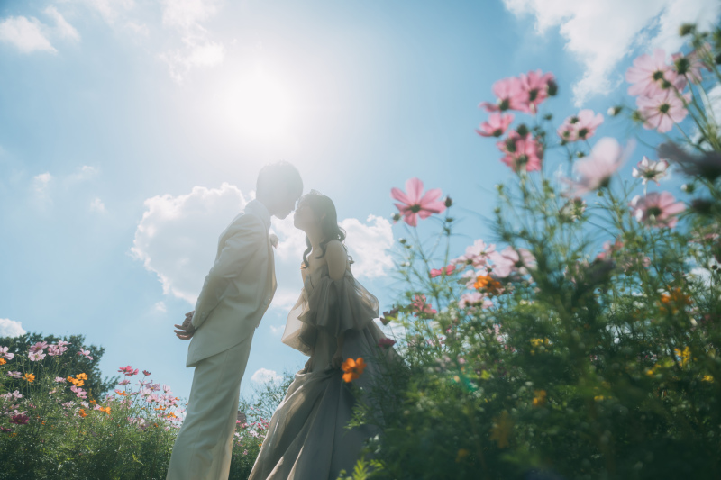 コスモスとの撮影【ふなばしアンデルセン公園】