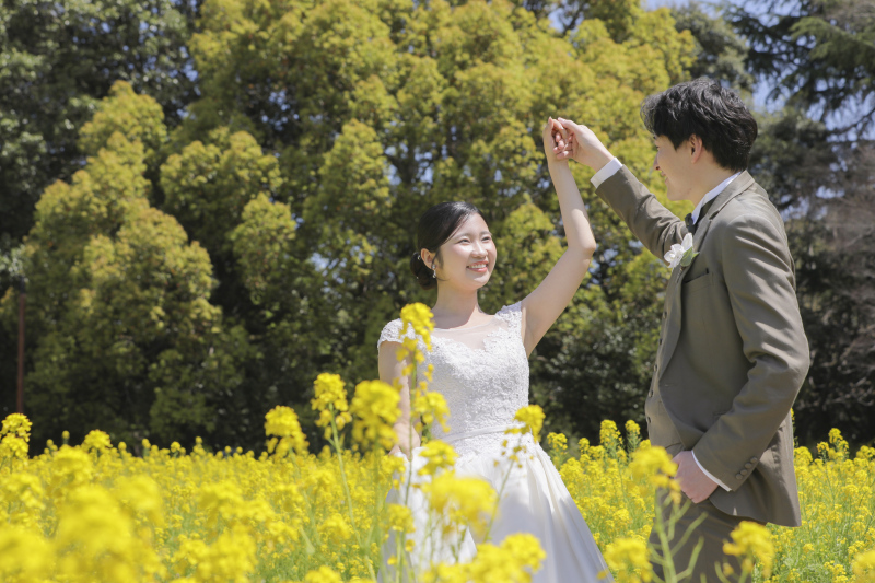 菜の花。
