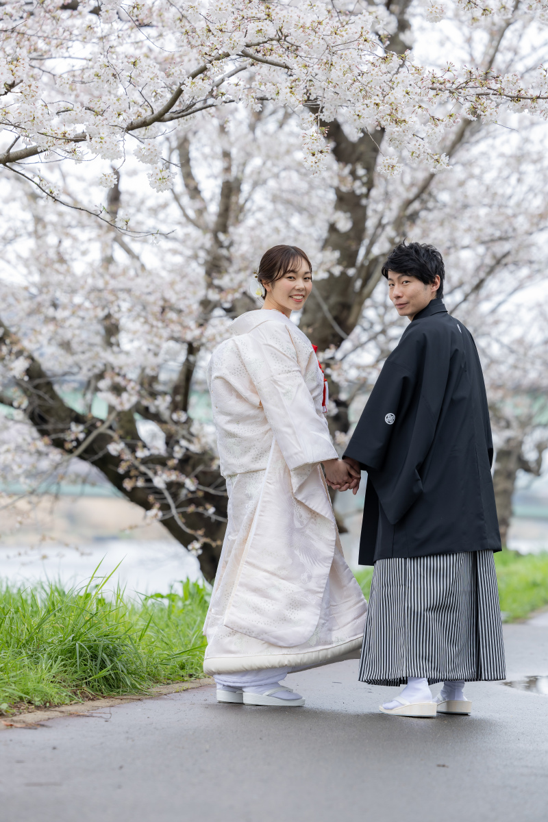 新川での桜撮影!