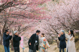 春色に染まる河津で