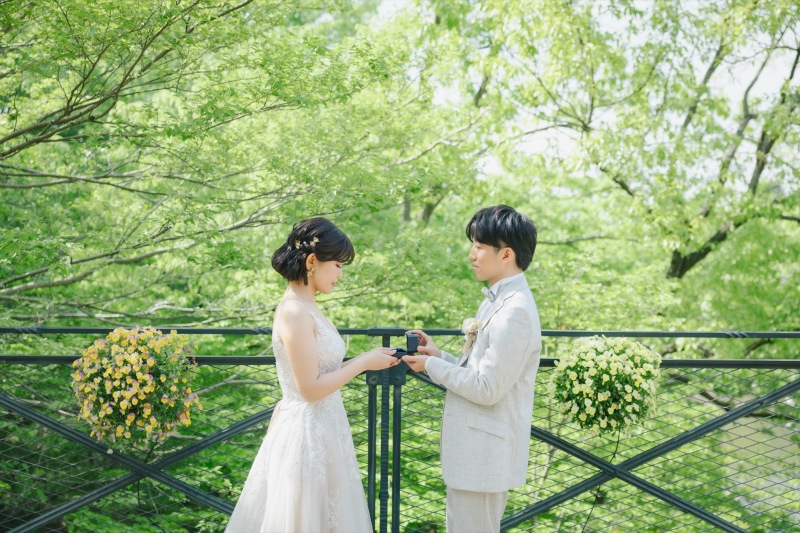 緑が綺麗な時期に