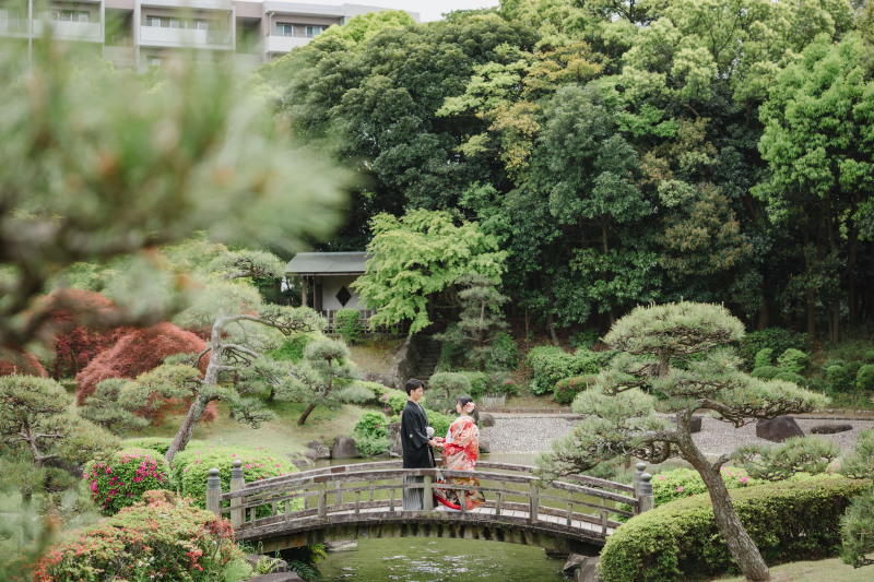 引きの写真