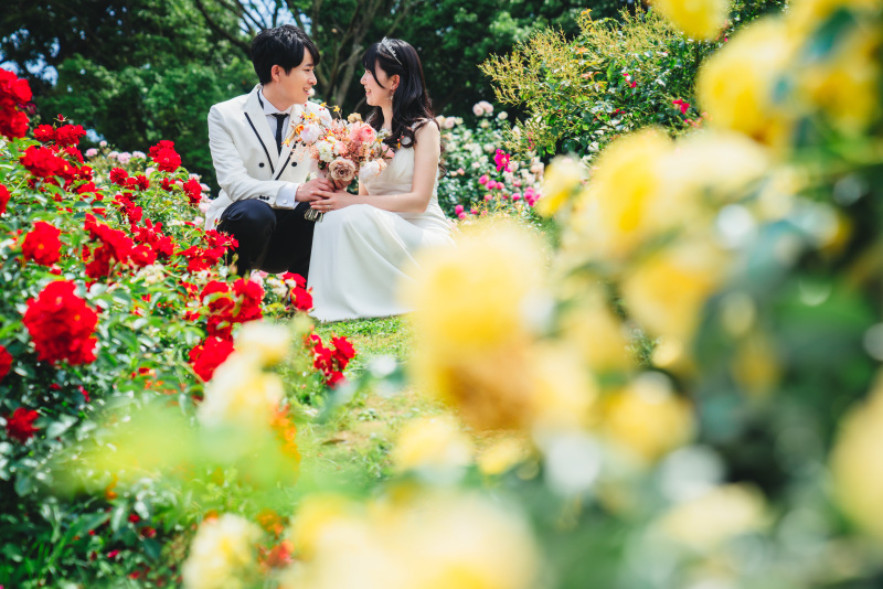 黄色と赤色の薔薇に囲まれて