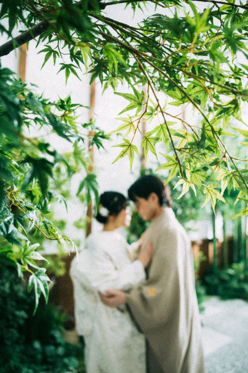 イメージショットの撮影