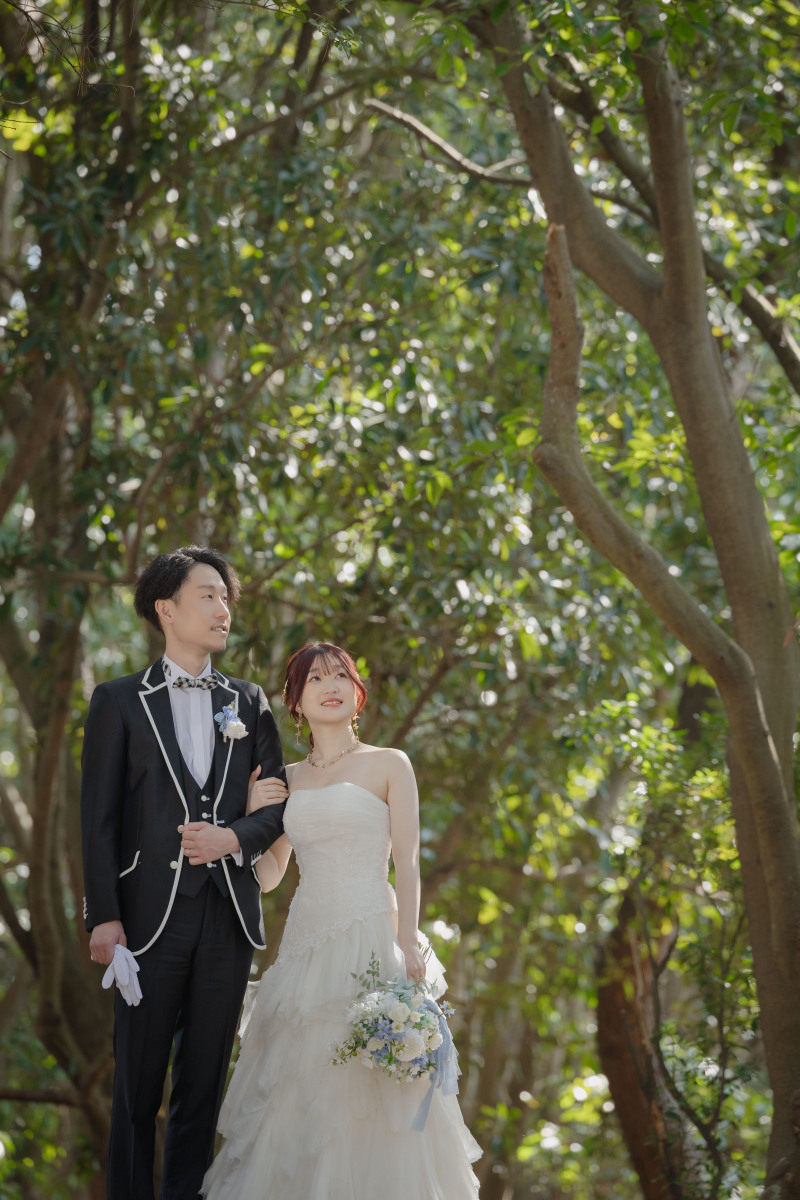 涼しげな森の中で