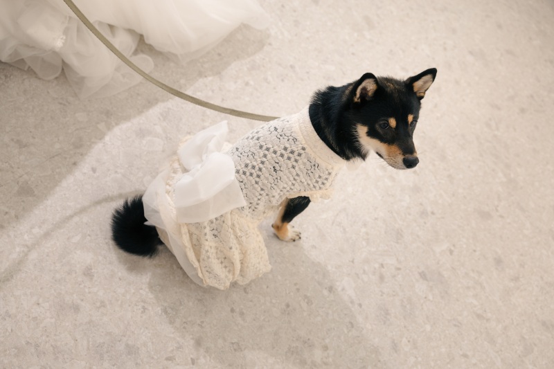 お疲れ様でした♪