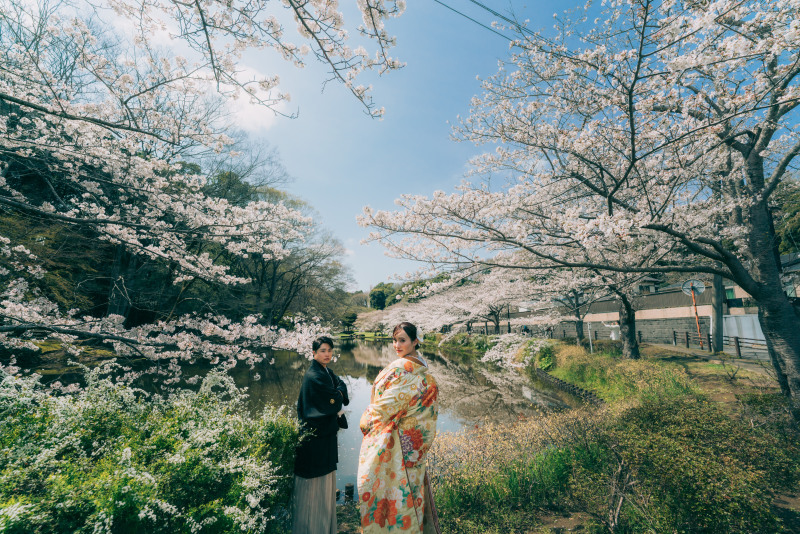 青と桜のコントラスト✴︎