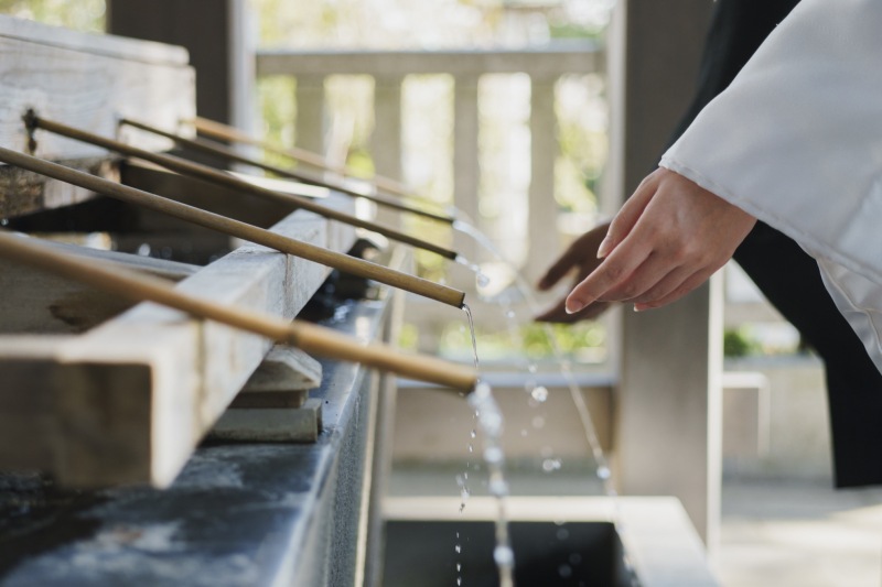 イメージカット