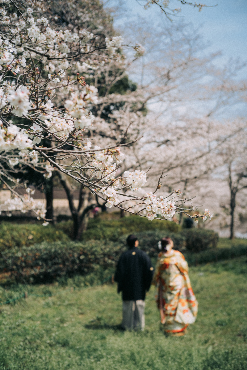 桜の奥に二人を置いて◎