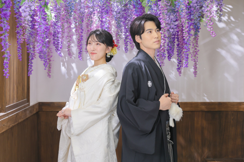 垂れ下がる藤の花と静けさの演出