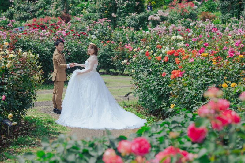 バラに囲まれて　【京成バラ園】
