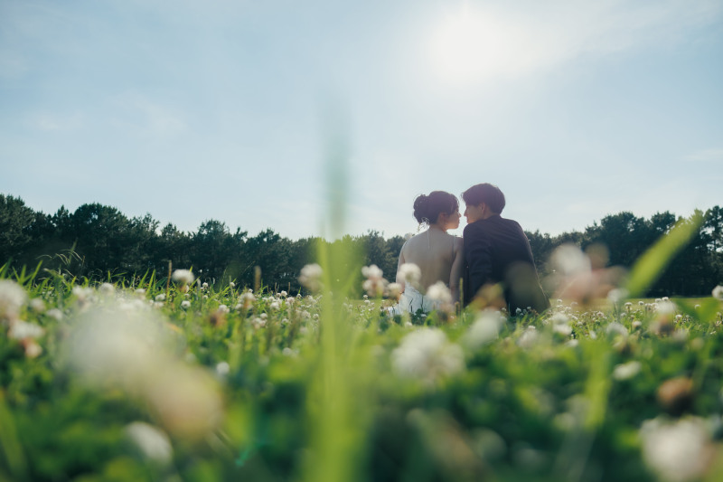 光に照らされて