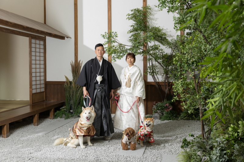 わんちゃん！！