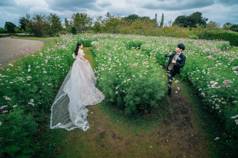 コスモス畑で...