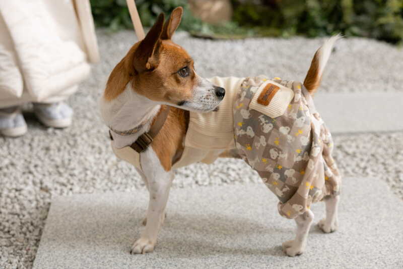 ソロカットも！