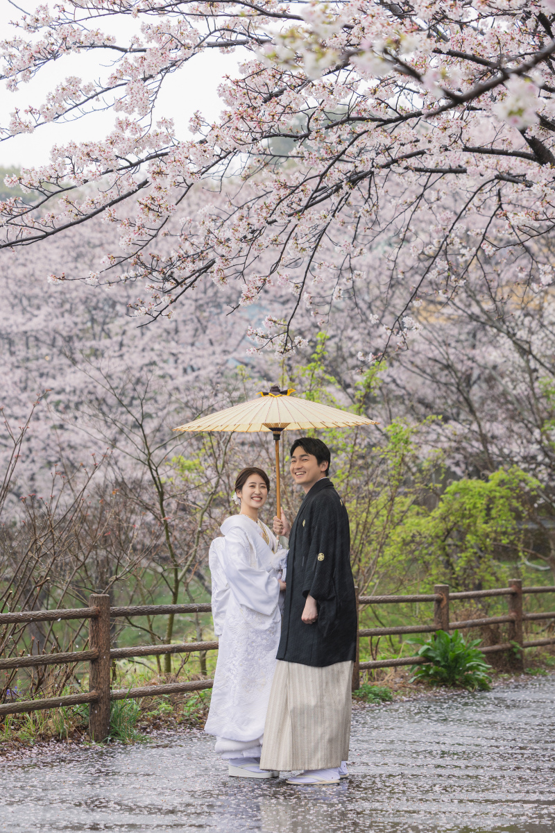 桜！