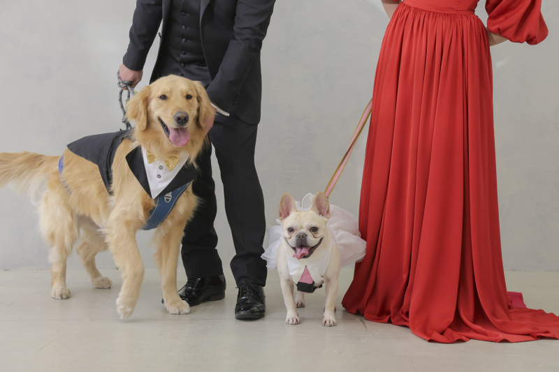 愛犬くんと愛犬ちゃん。