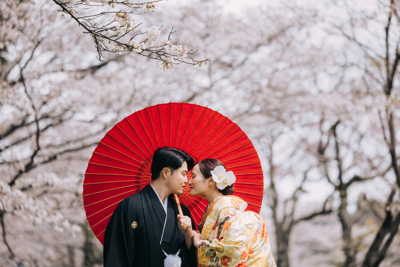 桜を一面背景に♬