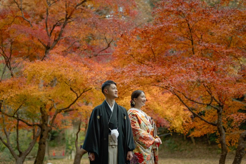 美しい紅葉と